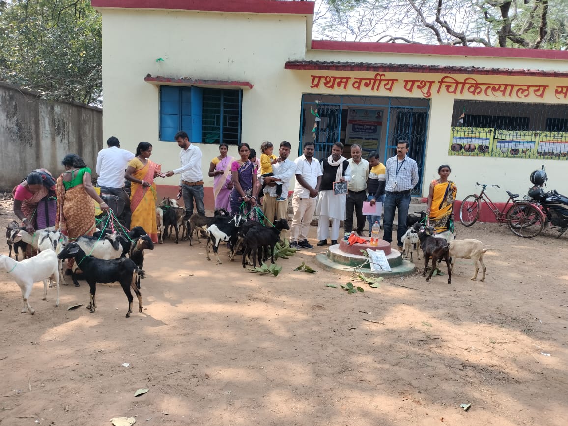 किसानों को आत्मनिर्भर बनाने को लेकर मुख्यमंत्री पशुधन योजना के तहत बकरा बकरी का हुआ वितरण।