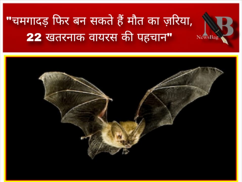 “चमगादड़ फिर बन सकते हैं मौत का ज़रिया, 22 खतरनाक वायरस की पहचान”