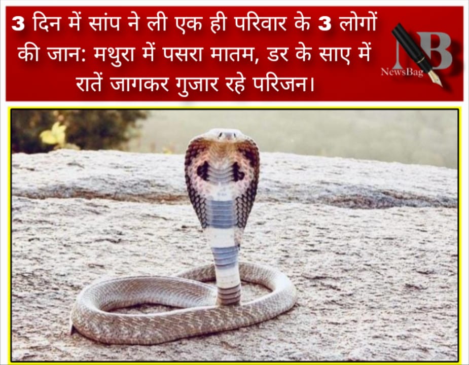 3 दिन में सांप ने ली एक ही परिवार के 3 लोगों की जान: मथुरा में पसरा मातम, डर के साए में रातें जागकर गुजार रहे परिजन।