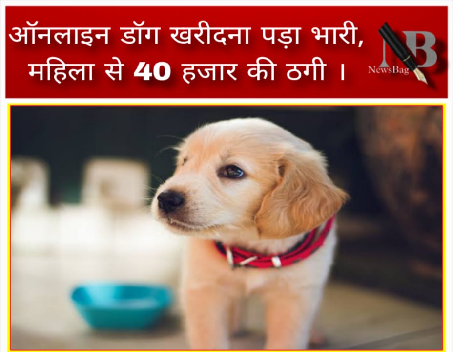 ऑनलाइन डॉग खरीदना पड़ा भारी, महिला से 40 हजार की ठगी ।