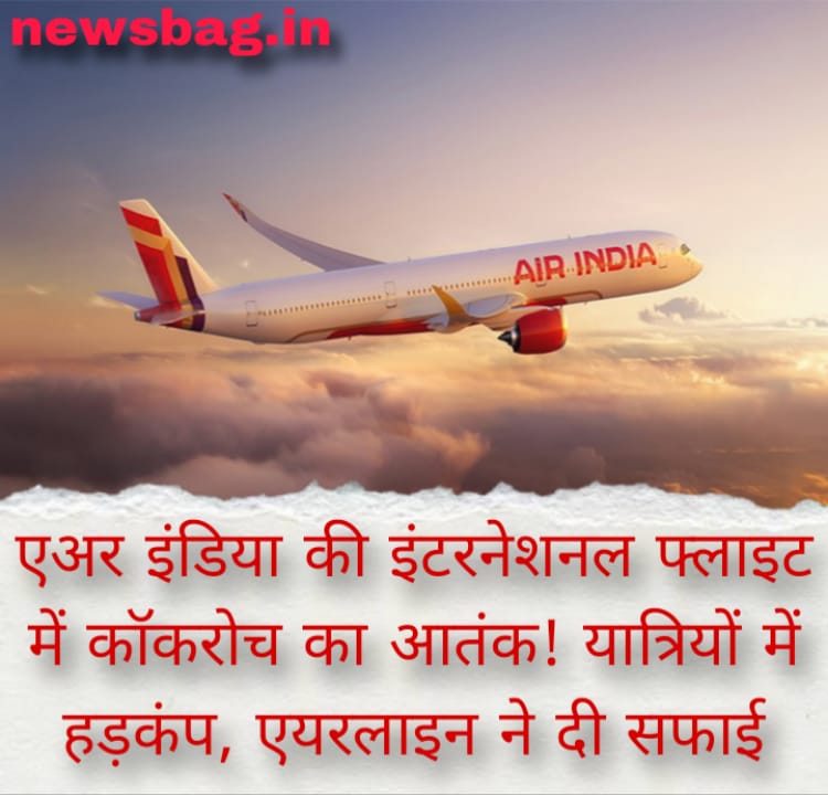 एअर इंडिया की इंटरनेशनल फ्लाइट में कॉकरोच का आतंक! यात्रियों में हड़कंप, एयरलाइन ने दी सफाई