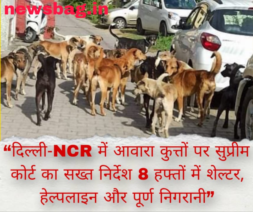 “दिल्ली-NCR में आवारा कुत्तों पर सुप्रीम कोर्ट का सख्त निर्देश — 8 हफ्तों में शेल्टर, हेल्पलाइन और पूर्ण निगरानी”