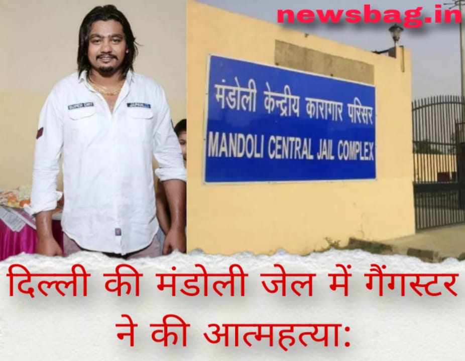 दिल्ली की मंडोली जेल में गैंगस्टर ने की आत्महत्या: