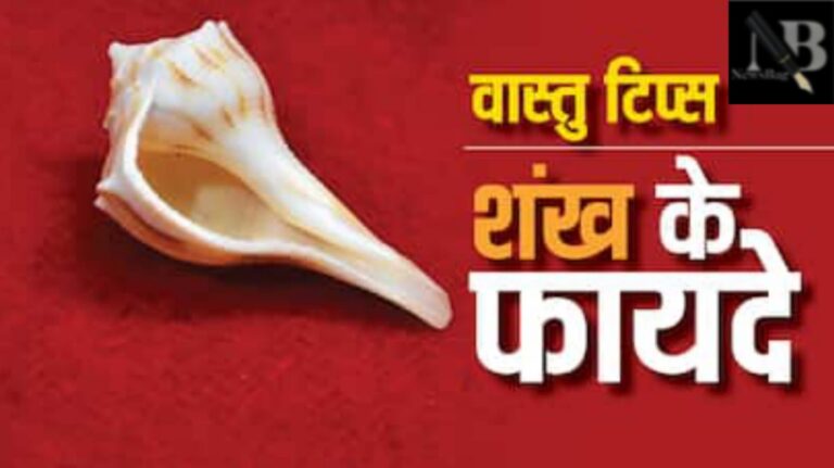 WhatsApp Image 2026-01-23 at 11.59.36 AM