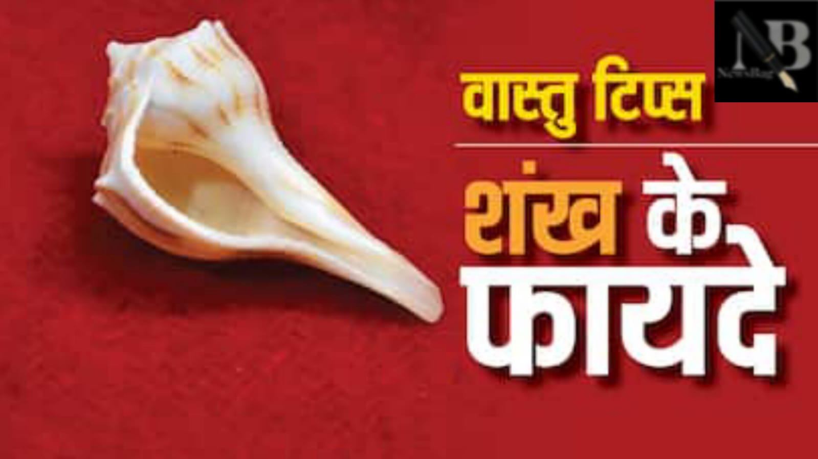 WhatsApp Image 2026-01-23 at 11.59.36 AM