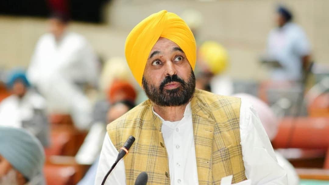 WhatsApp Image 2026-02-17 at 11.43.33 AM