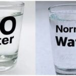 WhatsApp Image 2026-03-11 at 8.48.28 AM