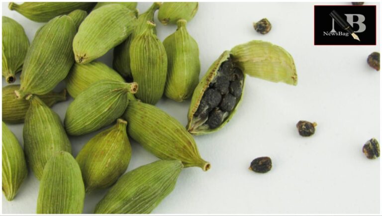 WhatsApp Image 2026-03-19 at 8.36.14 AM