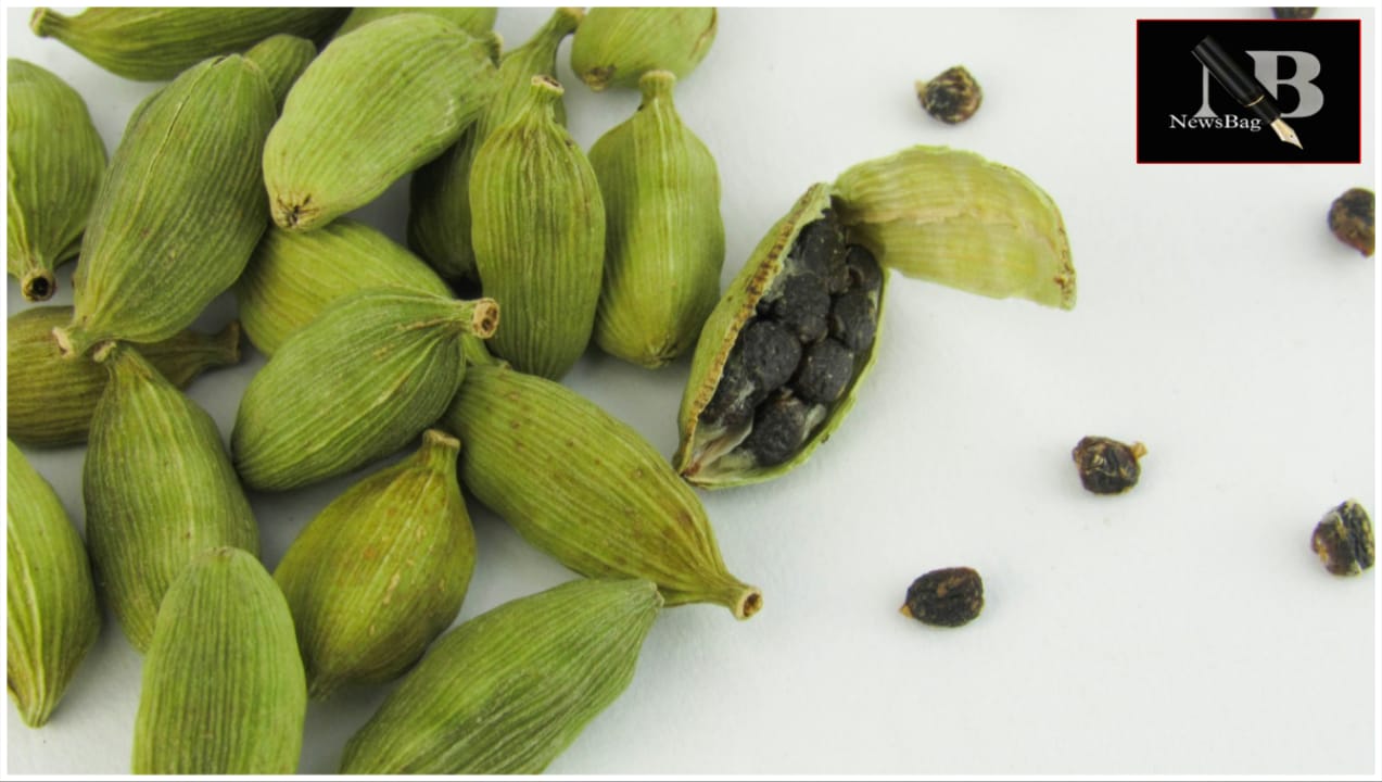 WhatsApp Image 2026-03-19 at 8.36.14 AM