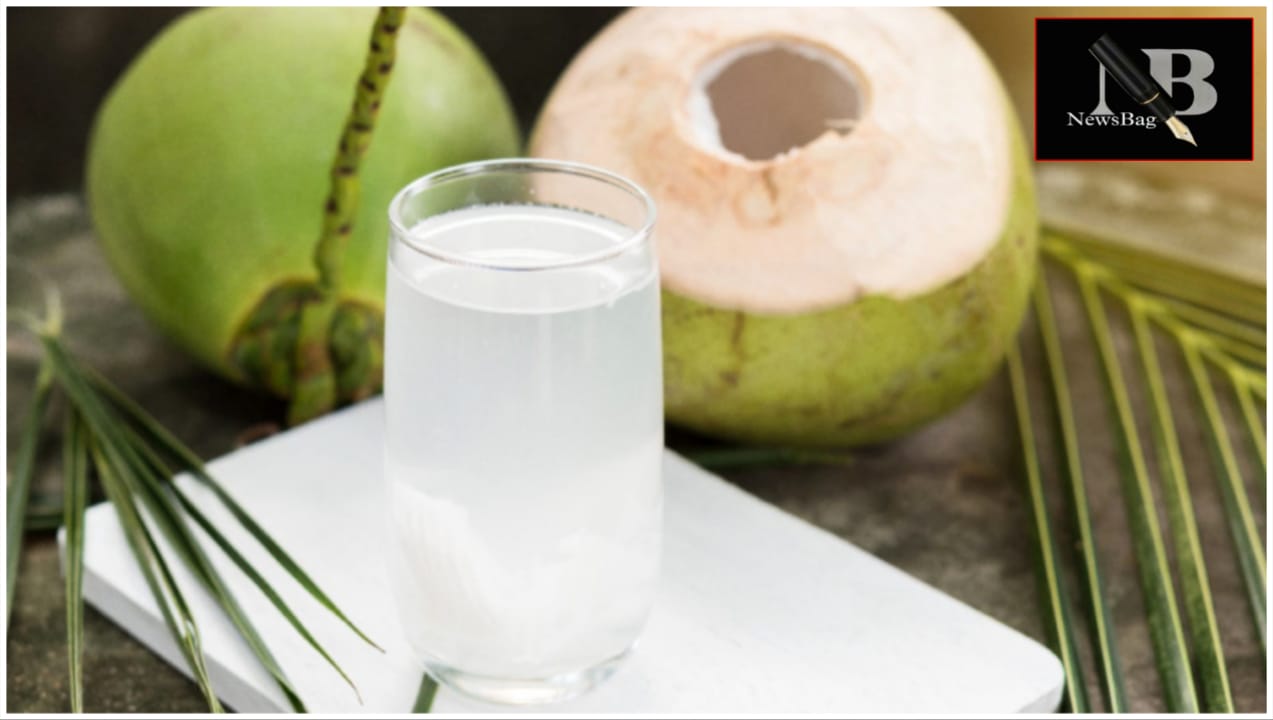 WhatsApp Image 2026-03-24 at 8.50.18 AM