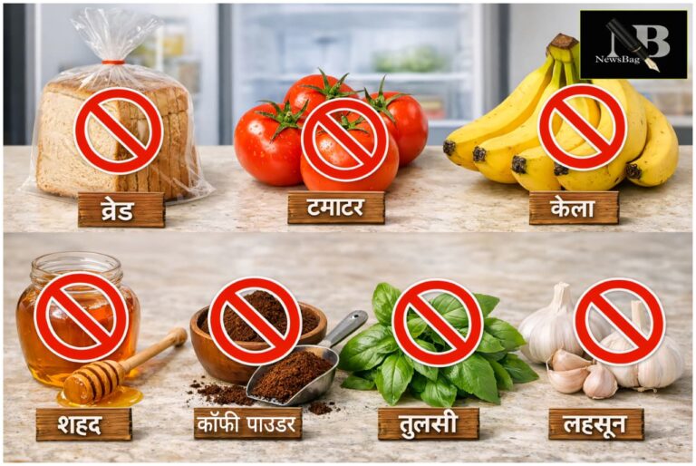 WhatsApp Image 2026-04-01 at 9.03.20 AM