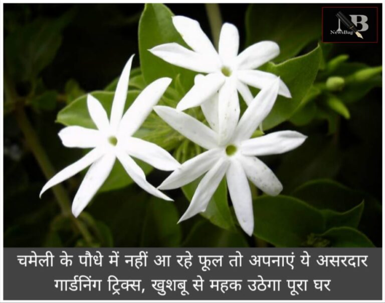 WhatsApp Image 2026-04-18 at 7.55.48 AM