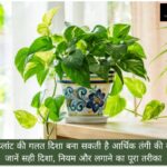WhatsApp Image 2026-05-03 at 9.13.52 AM