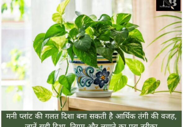 WhatsApp Image 2026-05-03 at 9.13.52 AM