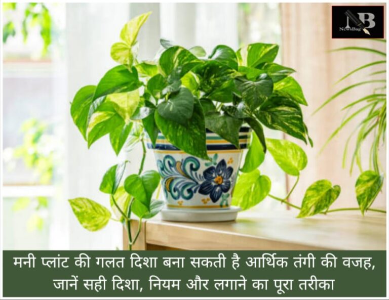 WhatsApp Image 2026-05-03 at 9.13.52 AM