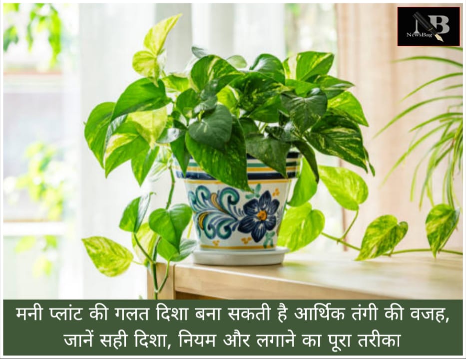 WhatsApp Image 2026-05-03 at 9.13.52 AM