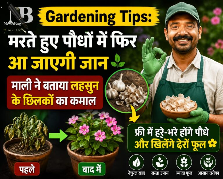 WhatsApp Image 2026-06-02 at 8.41.29 AM