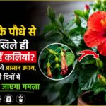 WhatsApp Image 2026-06-04 at 8.25.27 AM