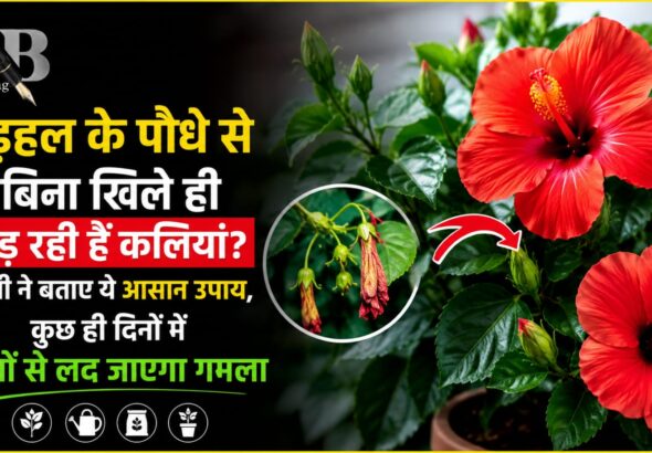 WhatsApp Image 2026-06-04 at 8.25.27 AM