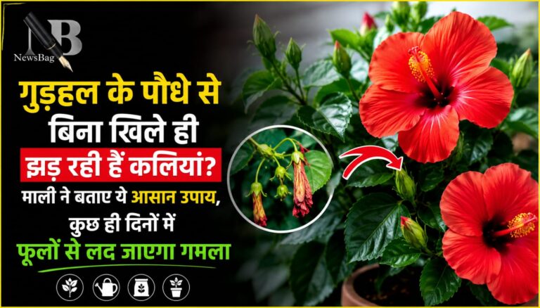 WhatsApp Image 2026-06-04 at 8.25.27 AM