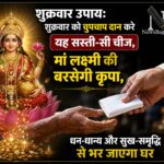 WhatsApp Image 2026-06-19 at 7.45.33 AM