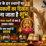 WhatsApp Image 2026-06-20 at 9.32.29 AM