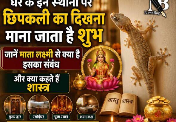 WhatsApp Image 2026-06-20 at 9.32.29 AM