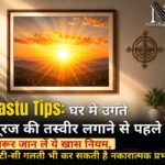 WhatsApp Image 2026-07-11 at 8.35.56 AM