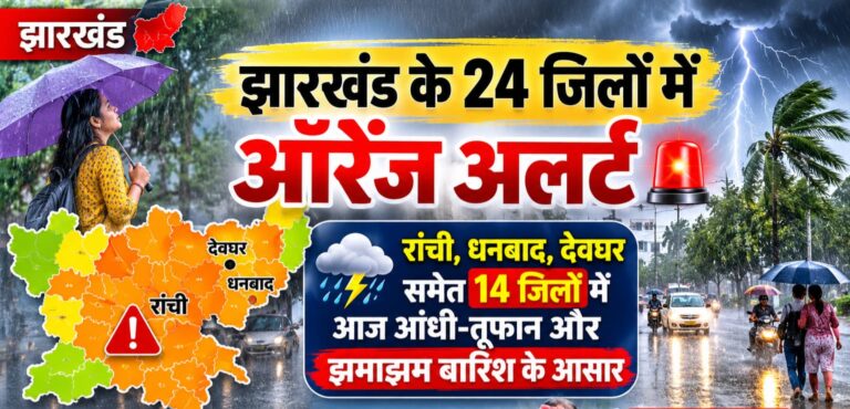 WhatsApp Image 2026-07-12 at 9.58.02 AM