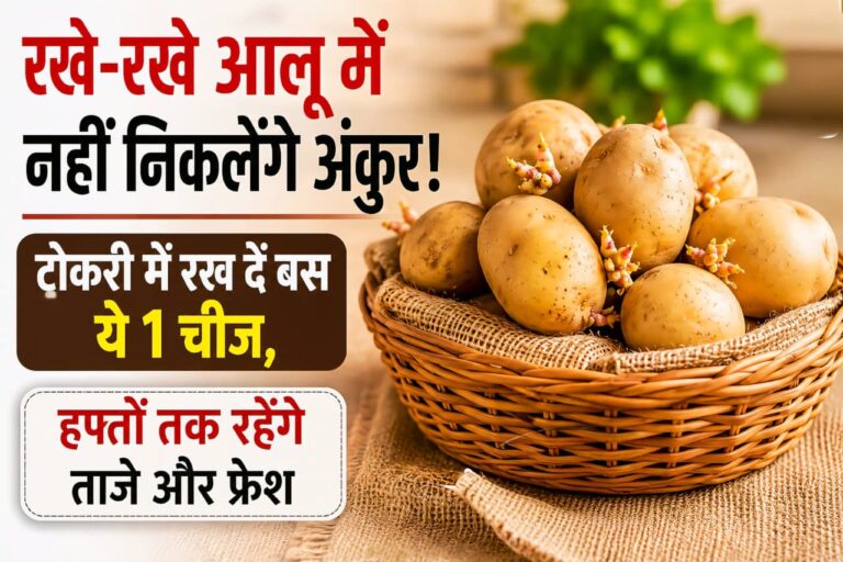 WhatsApp Image 2026-07-16 at 8.41.49 AM