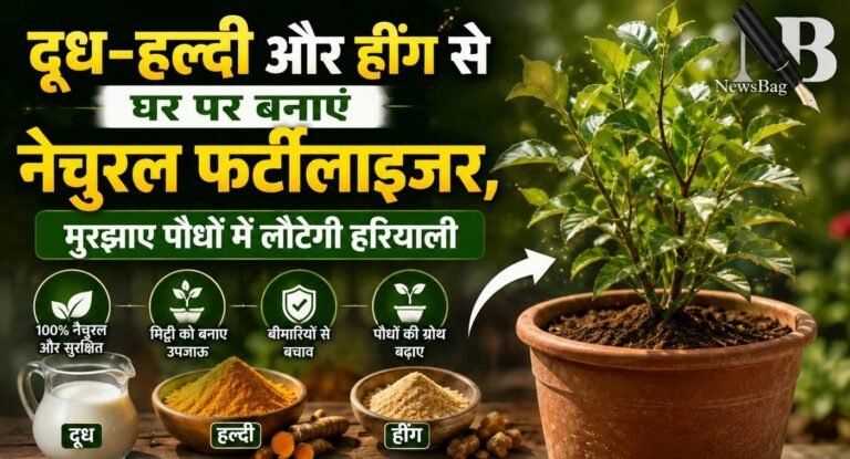WhatsApp Image 2026-08-14 at 9.16.53 AM