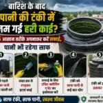 WhatsApp Image 2026-08-16 at 8.34.32 AM