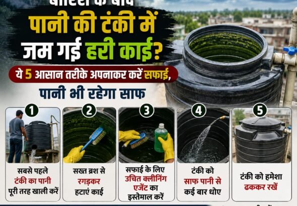 WhatsApp Image 2026-08-16 at 8.34.32 AM