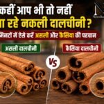 WhatsApp Image 2026-08-18 at 10.06.55 AM