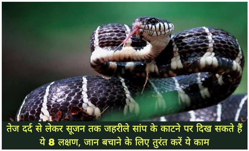 WhatsApp Image 2026-08-21 at 10.19.23 AM