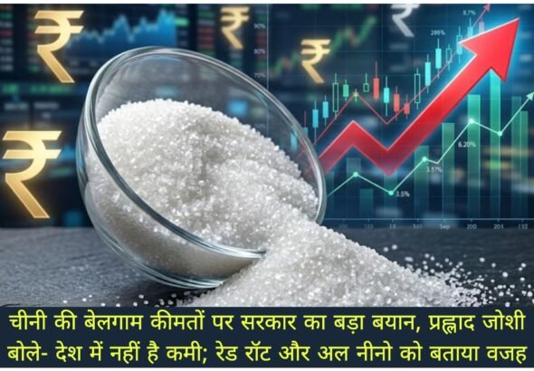 WhatsApp Image 2026-08-24 at 3.36.07 PM