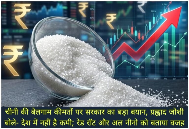 WhatsApp Image 2026-08-24 at 3.36.07 PM