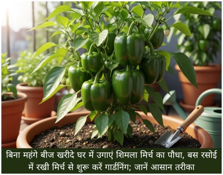 WhatsApp Image 2026-08-26 at 9.51.00 AM