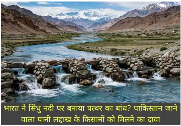 WhatsApp Image 2026-09-05 at 12.07.12 PM