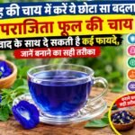 WhatsApp Image 2026-09-09 at 11.14.36 AM