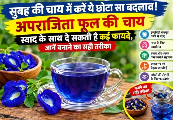 WhatsApp Image 2026-09-09 at 11.14.36 AM