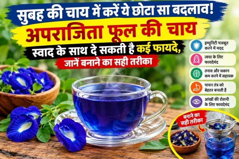 WhatsApp Image 2026-09-09 at 11.14.36 AM