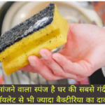 WhatsApp Image 2026-09-10 at 10.19.03 AM