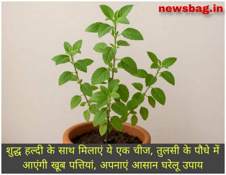 WhatsApp Image 2026-09-10 at 10.25.38 AM