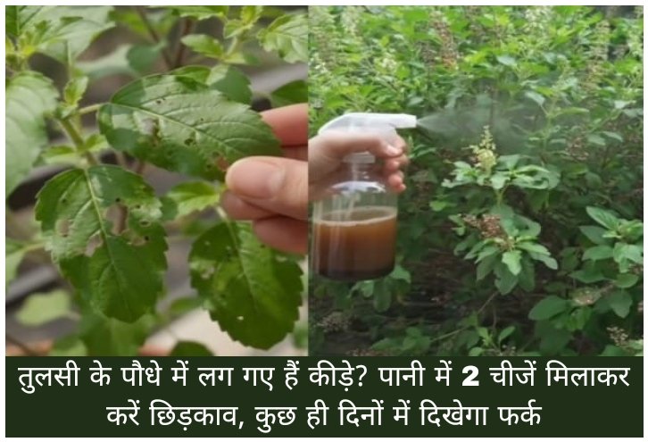 WhatsApp Image 2026-09-13 at 9.53.20 AM