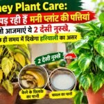 WhatsApp Image 2026-09-16 at 10.22.47 AM