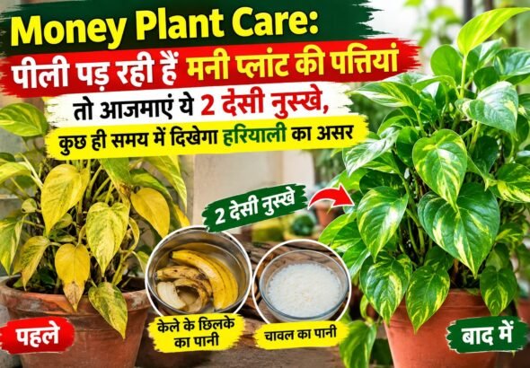 WhatsApp Image 2026-09-16 at 10.22.47 AM