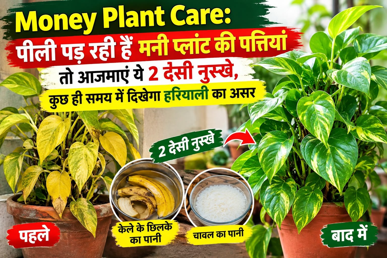 WhatsApp Image 2026-09-16 at 10.22.47 AM