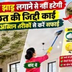 WhatsApp Image 2026-09-17 at 9.40.18 AM