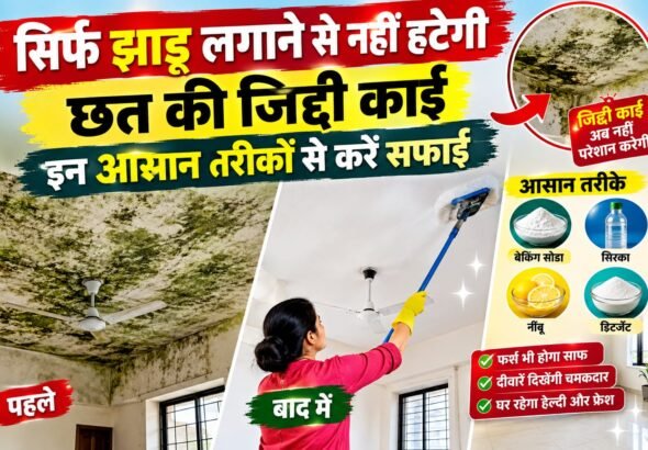WhatsApp Image 2026-09-17 at 9.40.18 AM
